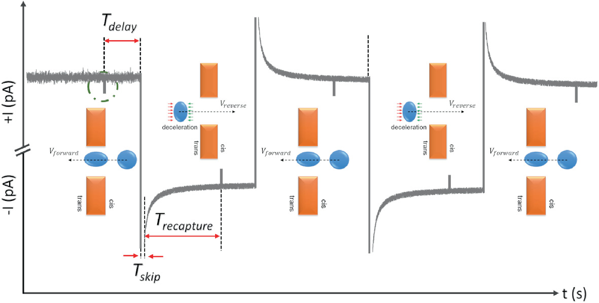 Experimental Approaches To Solid State Nanopores Springerlink