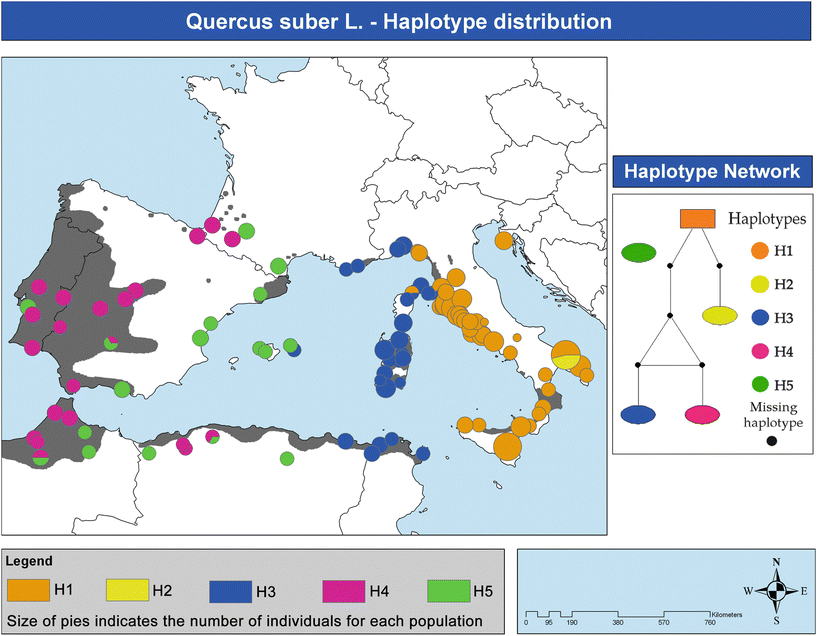 Quercus Suber Distribution Revisited Springerlink