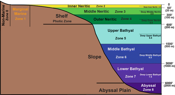 Biostratigraphy Springerlink - 