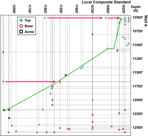 Biostratigraphy Springerlink - 