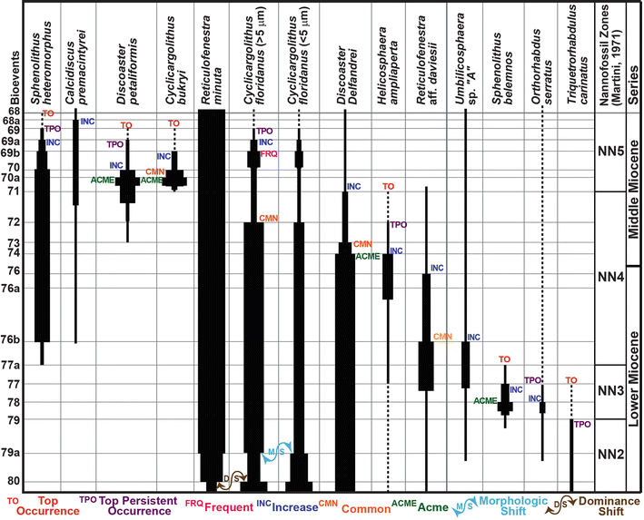 Biostratigraphy Springerlink - 