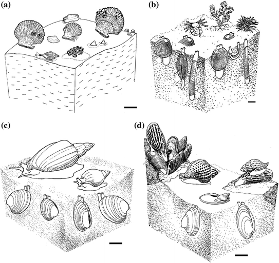 Paleoecology SpringerLink