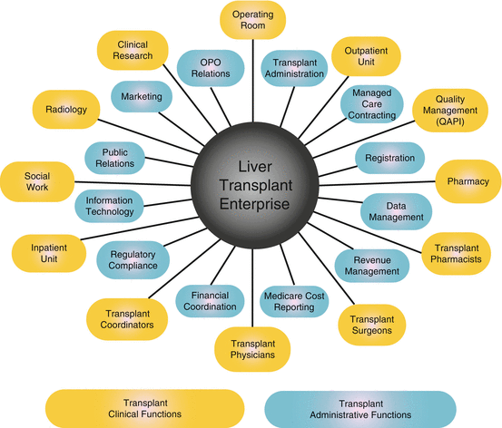 Finance of Liver Transplantation | SpringerLink Finance of Liver Transplantation | SpringerLink