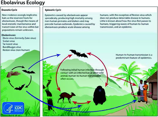 Emerging Viruses Springerlink
