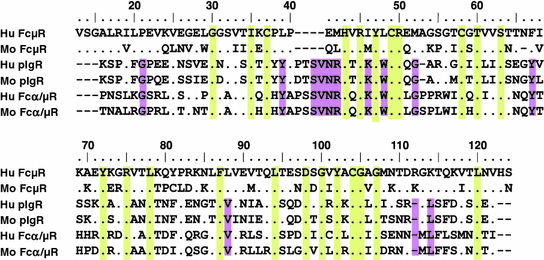 The Old But New Igm Fc Receptor Fc Mr Springerlink