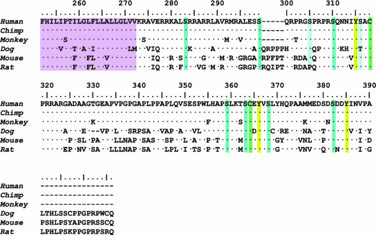 The Old But New Igm Fc Receptor Fc Mr Springerlink