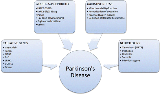 Parkinson S Disease An Overview Of Etiology Clinical Manifestations And Treatment Springerlink