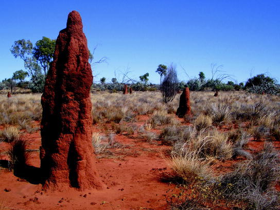 Images Life In The Soil Springerlink dernière salutations