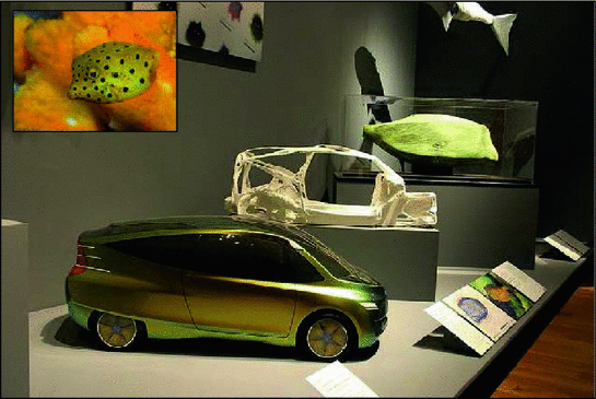 Can Biomimicry Be A Useful Tool For Design For Climate Change
