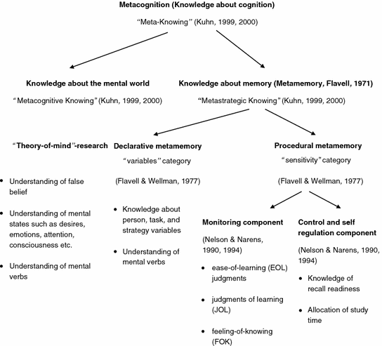 Image result for metamemory