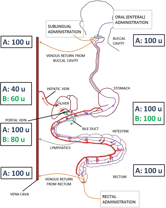 Medicina pe tipul de metabolism