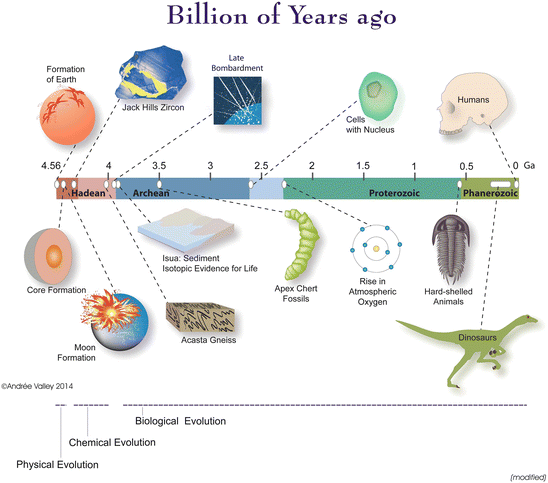 definition of evolutionary history