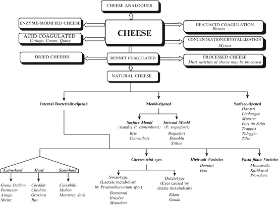 Mozzarella Cheese Process Flow Chart