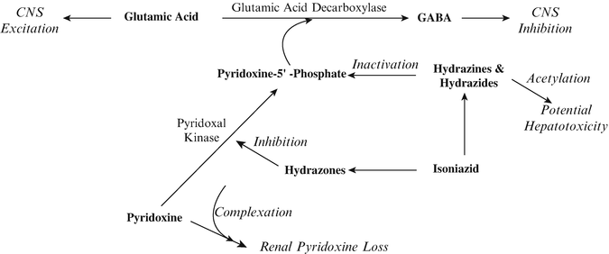 Pyridoxine Springerlink