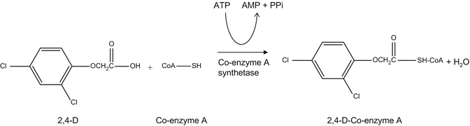 Chlorophenoxy Herbicides Springerlink