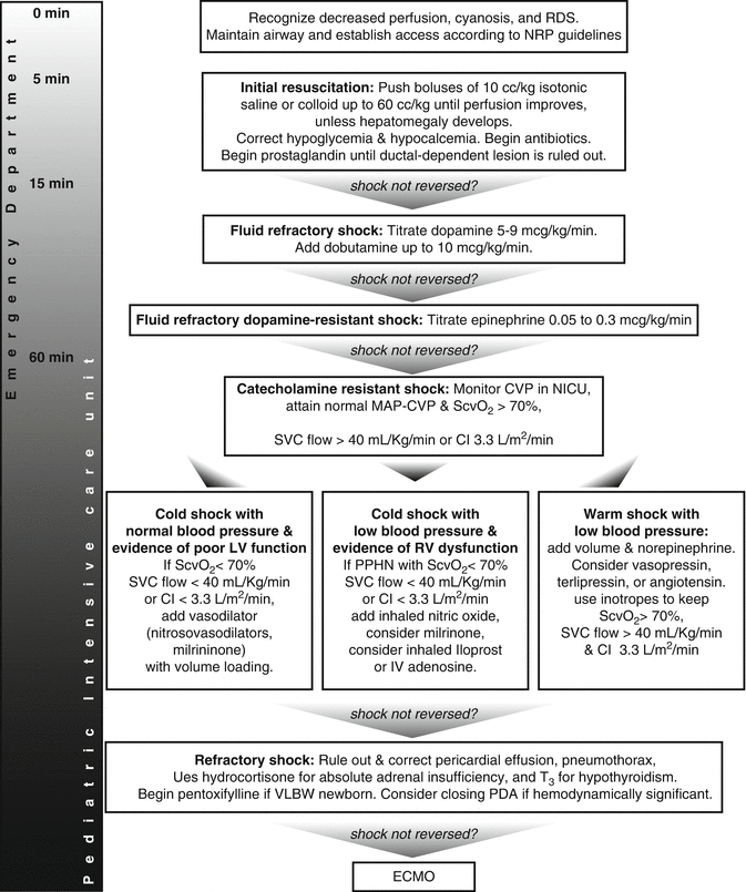 Neonatal Septic Shock Springerlink