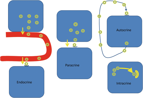 Introduction to Pediatric Endocrinology: The Endocrine System ...