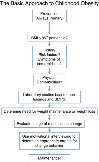 Obesity Springerlink