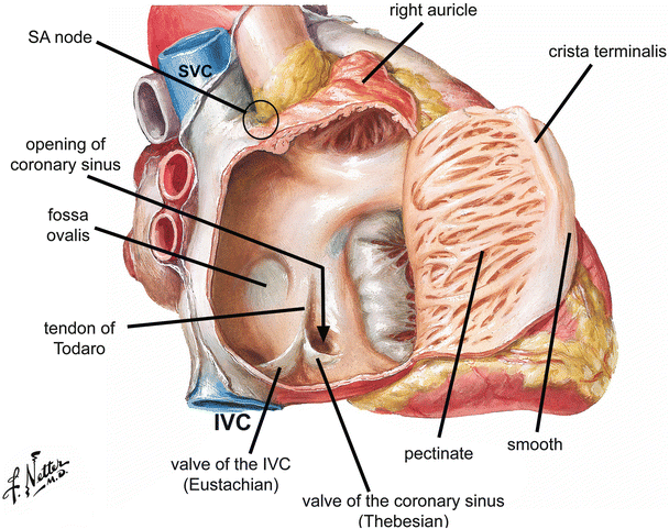 145597_3_En_5_Fig9_HTML.gif