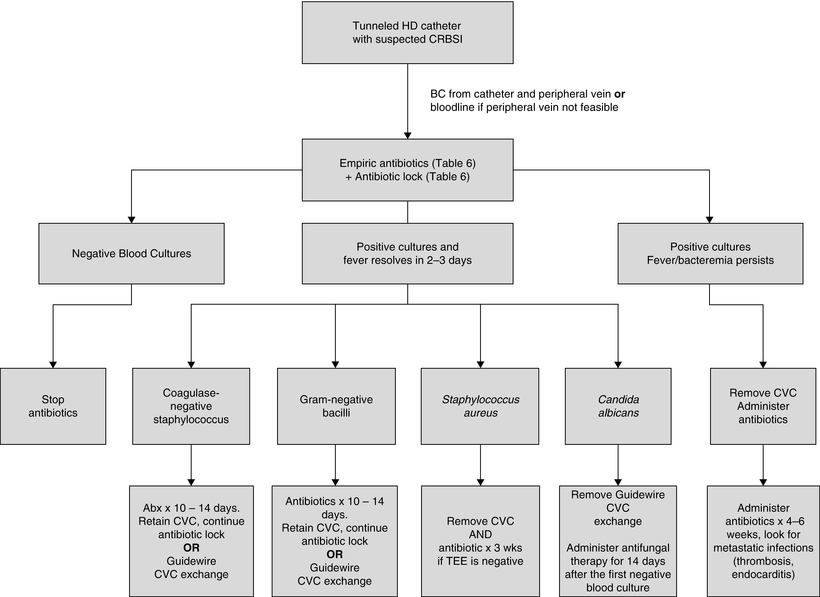 Vascular CatheterRelated Bloodstream Infections SpringerLink