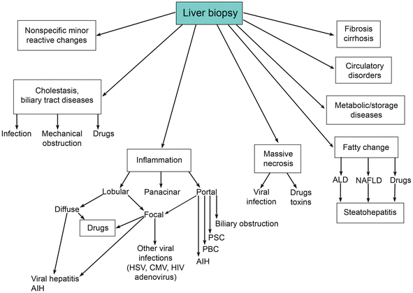 Patterns of Liver Injury | SpringerLink