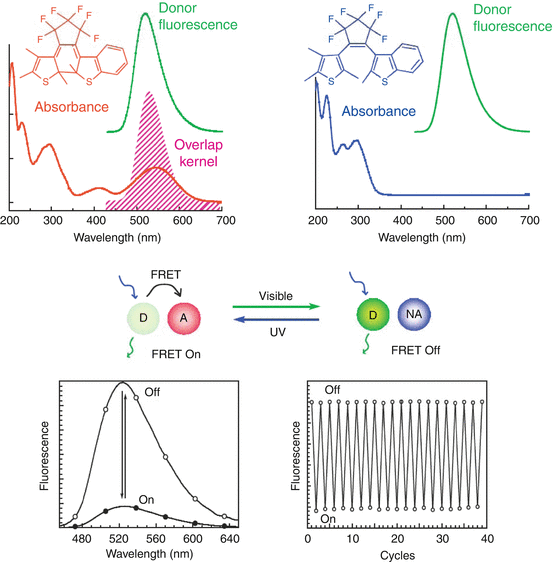 Fluorescence Detection Techniques SpringerLink