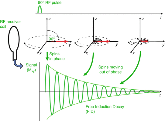 Generating A Signal Rf Pulses And Echoes Springerlink