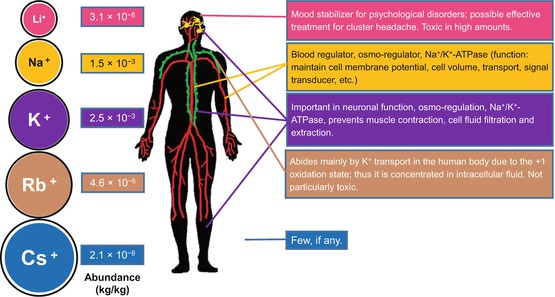 Bioinorganic Chemistry Of The Alkali Metal Ions Springerlink