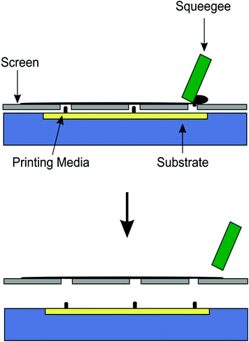 Fundamentals of Screen-Printing Electrochemical Architectures ...