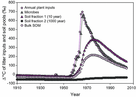Radiocarbon In Terrestrial Systems Springerlink