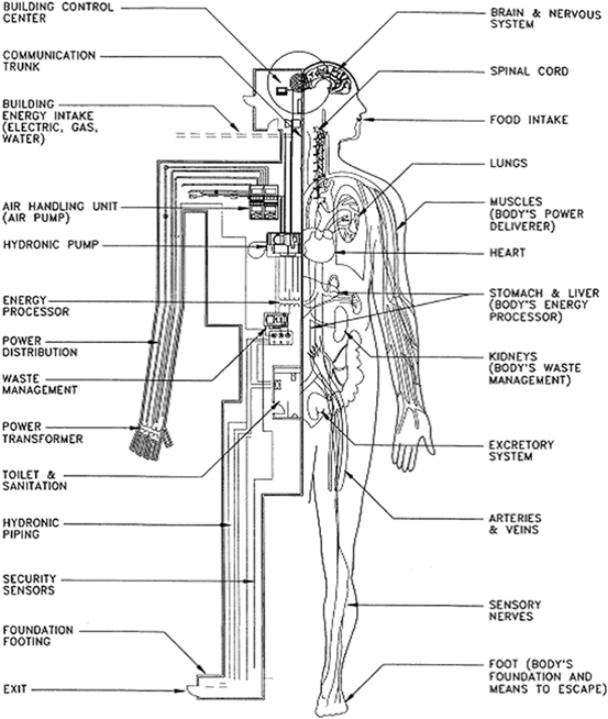 The Human Body and Building Synchronization | SpringerLink