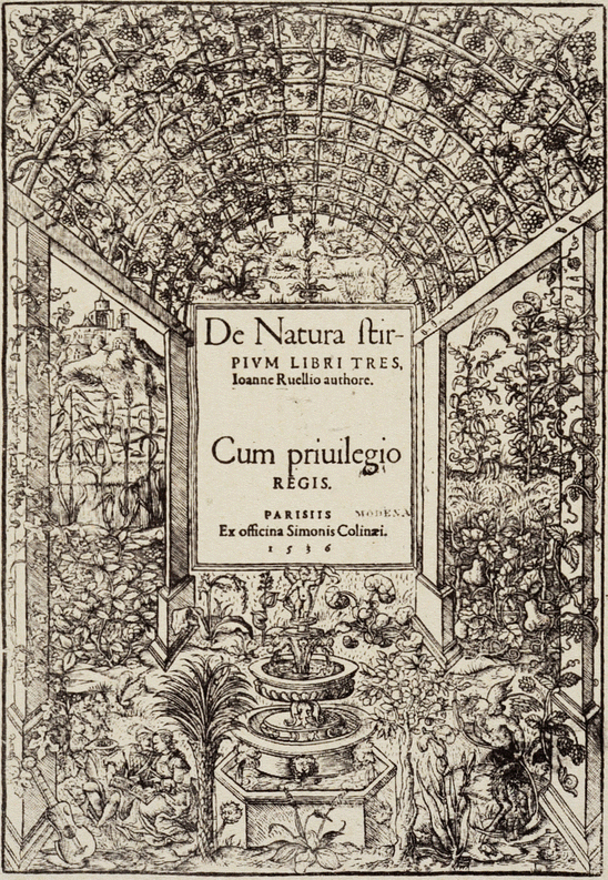 Botanical Illustration And The Idea Of The Garden In The - 