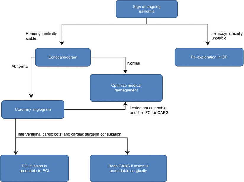 Management Of Heart Failure After Cabg Springerlink