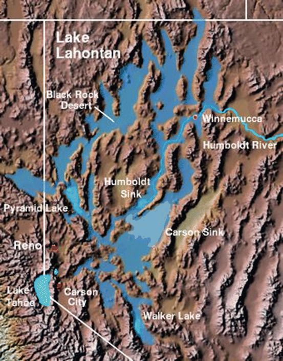 The Impact of Lake Bonneville and Lake Lahontan on the Halophytes of