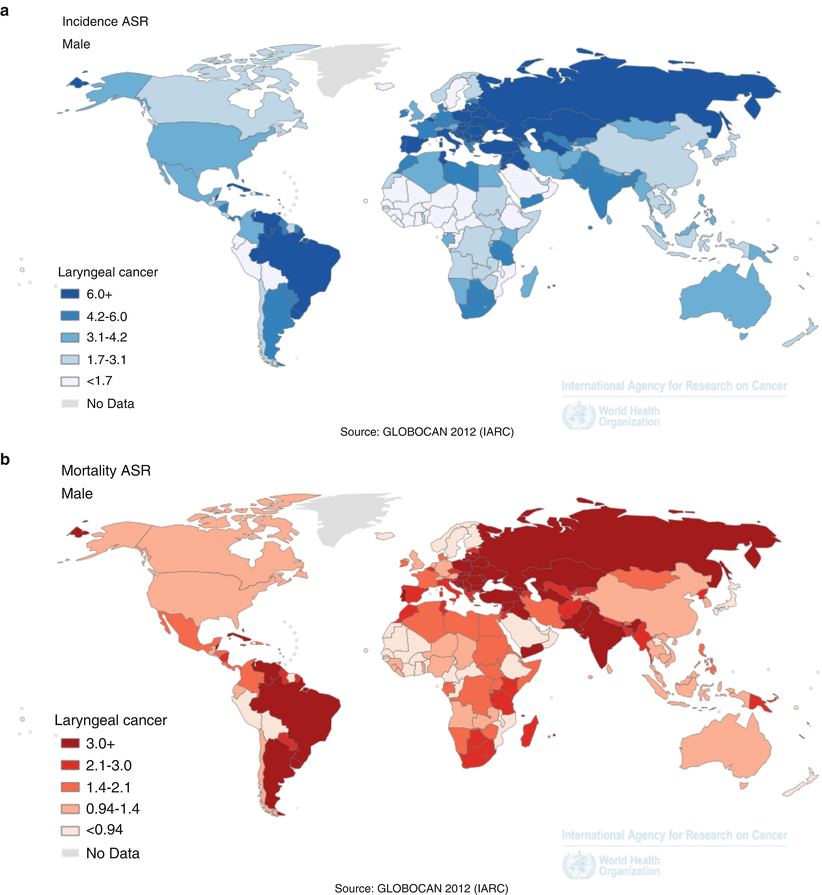 Epidemiology and Aetiology of Head and Neck Cancers | SpringerLink