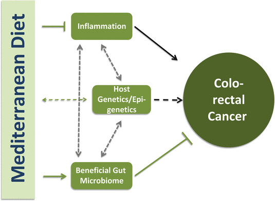 mediterranean diet and cancer