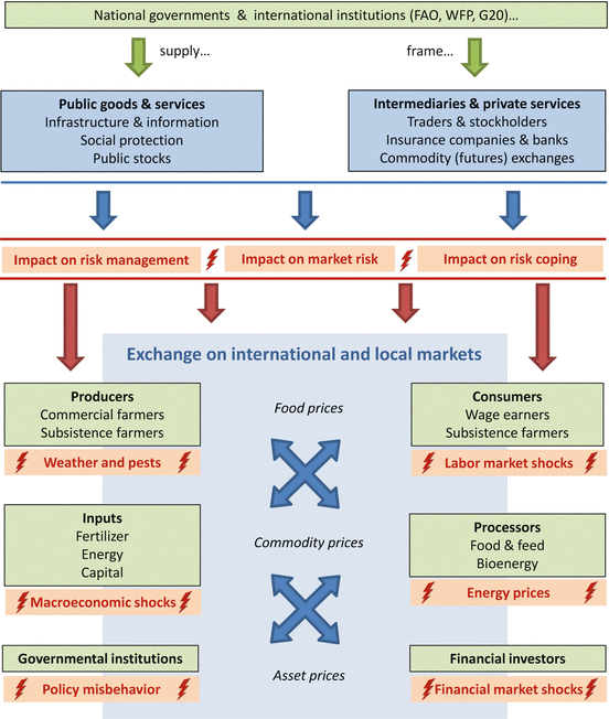 Volatile And Extreme Food Prices Food Security And Policy - 