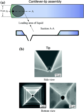 Fabrication And Characterization Of Micro Nano And
