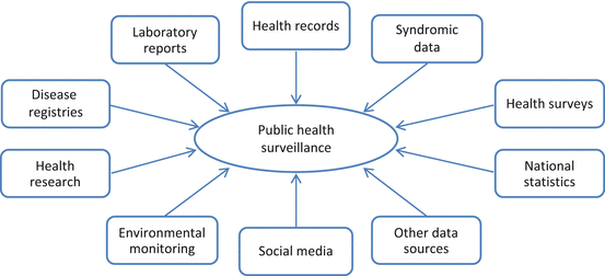 Public Health Surveillance | SpringerLink