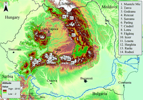 Varicele pelvine - simptome și tratament - Cauze