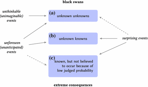 A Conceptual for Assessing and Managing Risk, and Black Swans | SpringerLink