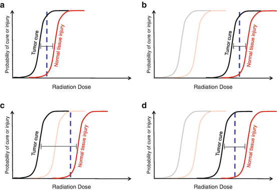Radioprotection As A Method To Enhance The Therapeutic Ratio Of Radiotherapy Springerlink
