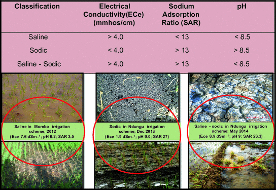 Extent Of Salt Affected Soils And Their Effects In Irrigated And Lowland Rain Fed Rice Growing Areas Of Southwestern Tanzania Springerlink