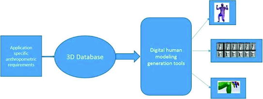 Digital Human Modeling Pipeline With A 3d Anthropometry Database Springerlink