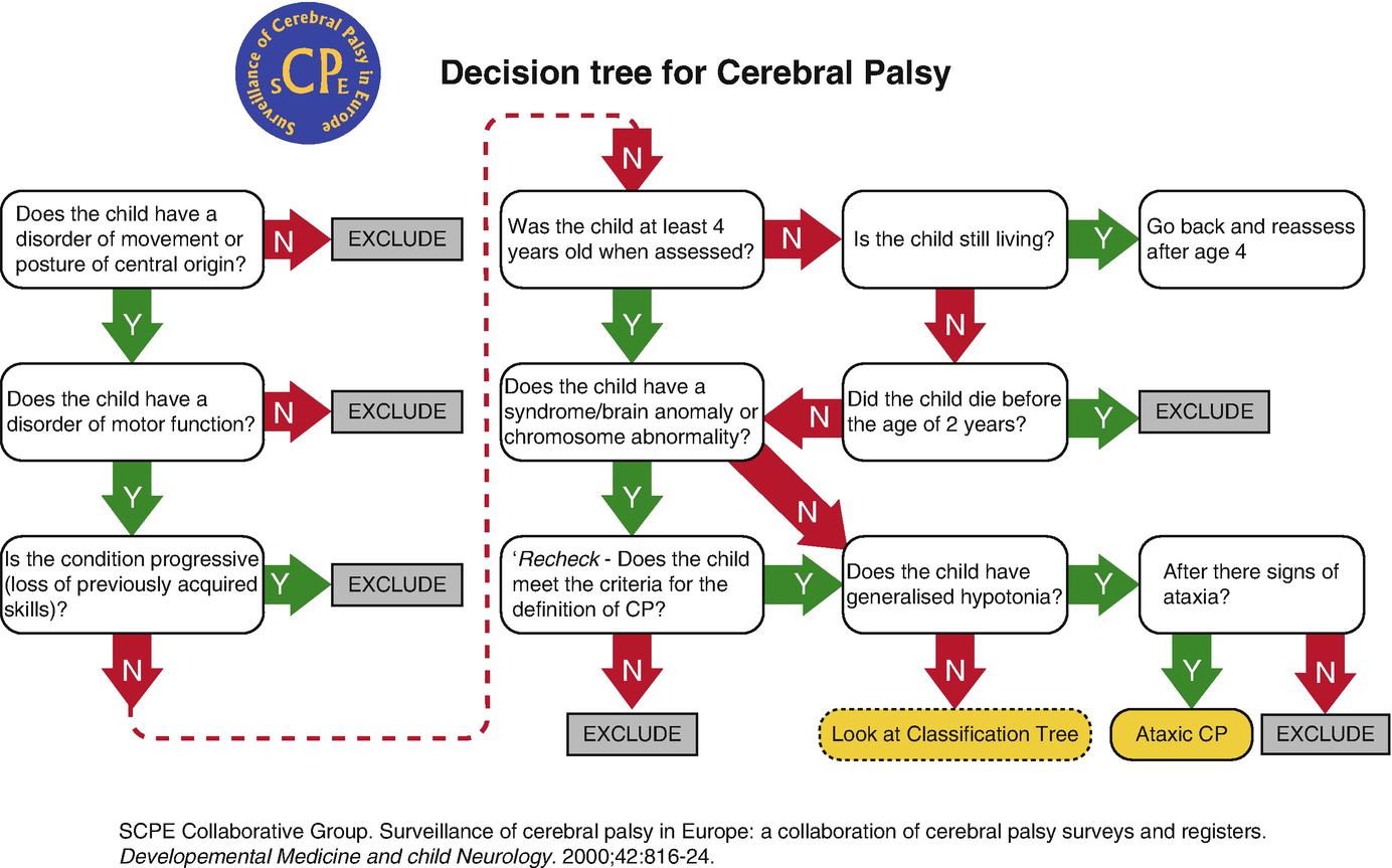 Assessment And Management Of The Child With Cerebral Palsy Springerlink