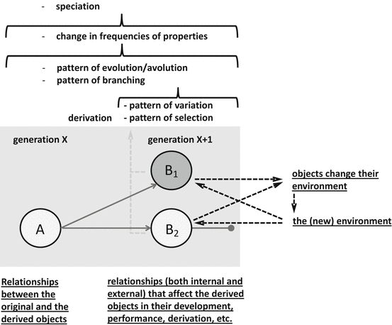 Darwin S Theory Of Evolution Chart Pearson