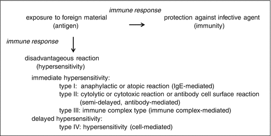 Sensitization And Allergies Of Herbal Products Springerlink