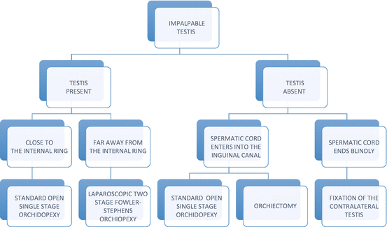 Testis Development and Descent | SpringerLink Testis Development and Descent | SpringerLink