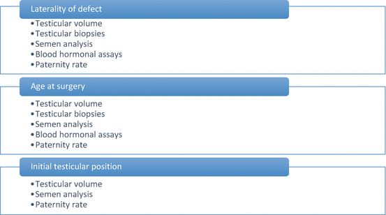 Testis Development and Descent | SpringerLink Testis Development and Descent | SpringerLink