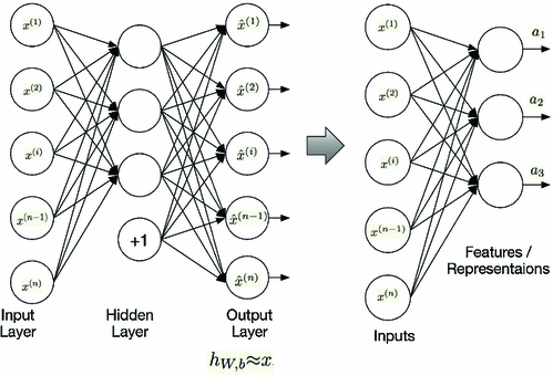 ecg classification deep learning